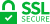 SSL logo